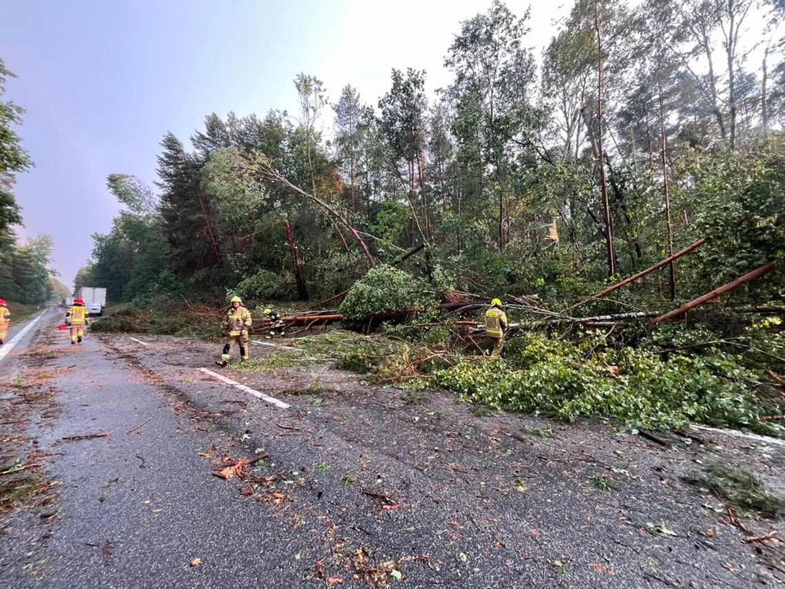 Sześć interwencji po nawałnicy. Strażacy usuwali skutki burzy w gminie Żarnów