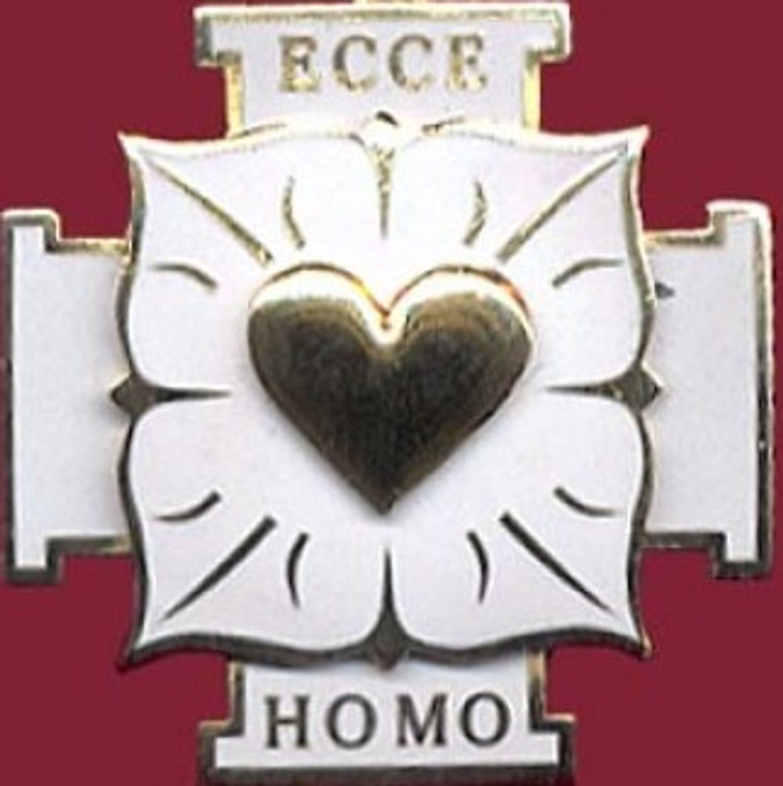 Tomaszów kojarzony z głupotą