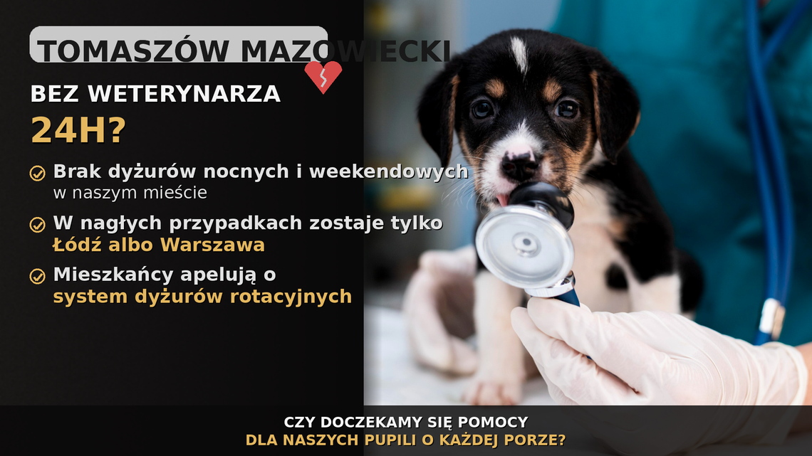 Tomaszów Mazowiecki bez weterynarza 24h? Mieszkańcy apelują o dyżury nocne i weekendowe
