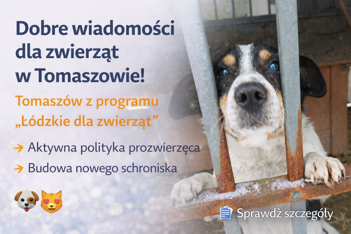 Tomaszów Mazowiecki ze wsparciem dla zwierząt. Miasto stawia na profilaktykę i nowe schronisko