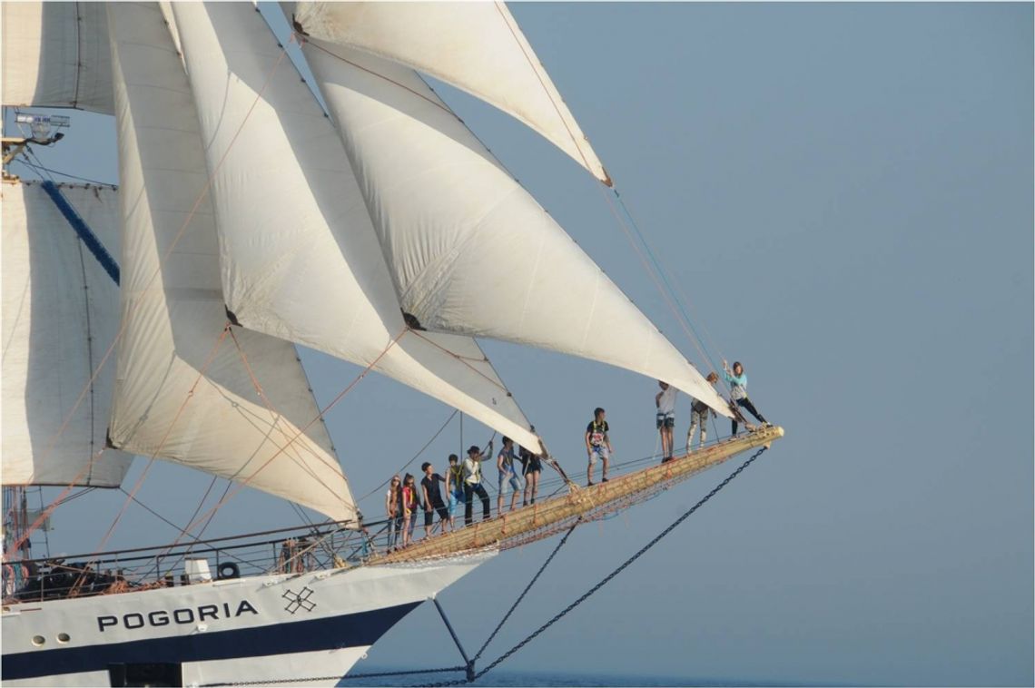 Tomaszowianie pod żaglami Pogorii 2015