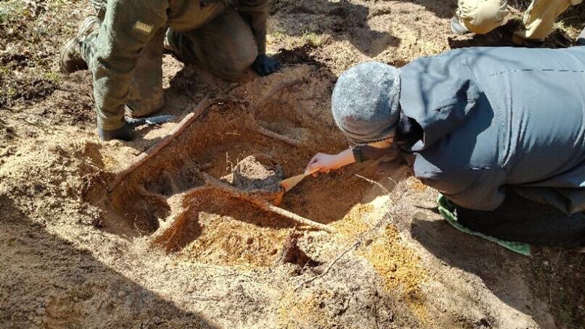Tomaszowskim poszukiwaczom militariów się poszczęściło. Znaleźli skarb sprzed 2000 lat