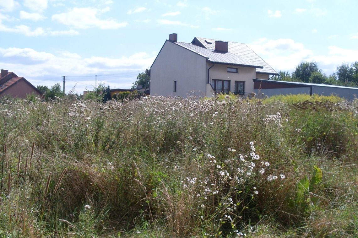 Ulica Chopina - zakurzona, zarośnięta i zaśmiecona