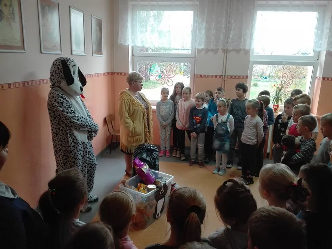 W &quot;siódemce&quot; zbierali dary dla psiaków