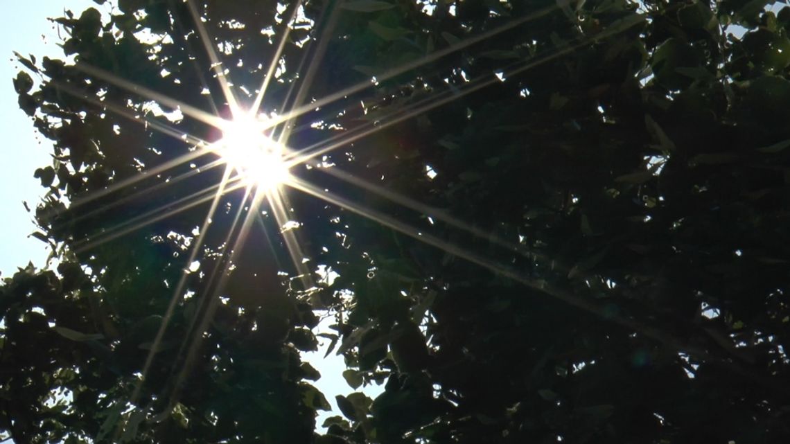 W upał lepiej nie biegać. A jak możemy ćwiczyć? W upał lepiej nie biegać. A jak możemy ćwiczyć?