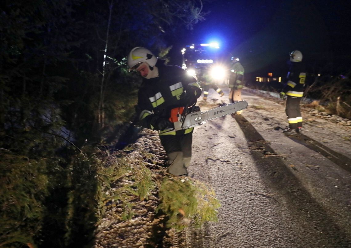 Wiał silny wiatr. 12 interwencji strażackich