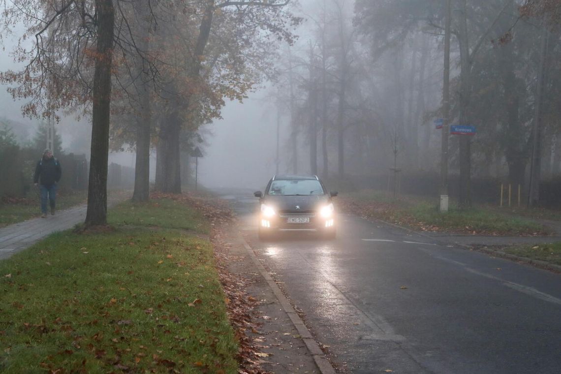 Wiatr będzie słaby, południowo-wschodni i wschodni.