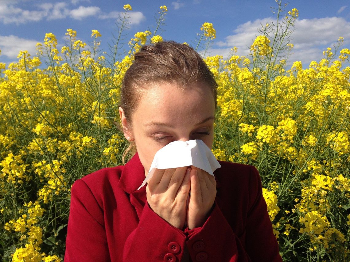 Wiosna i lato – czas alergii – kiedy konieczna staje się wizyta u alergologa i testy alergiczne