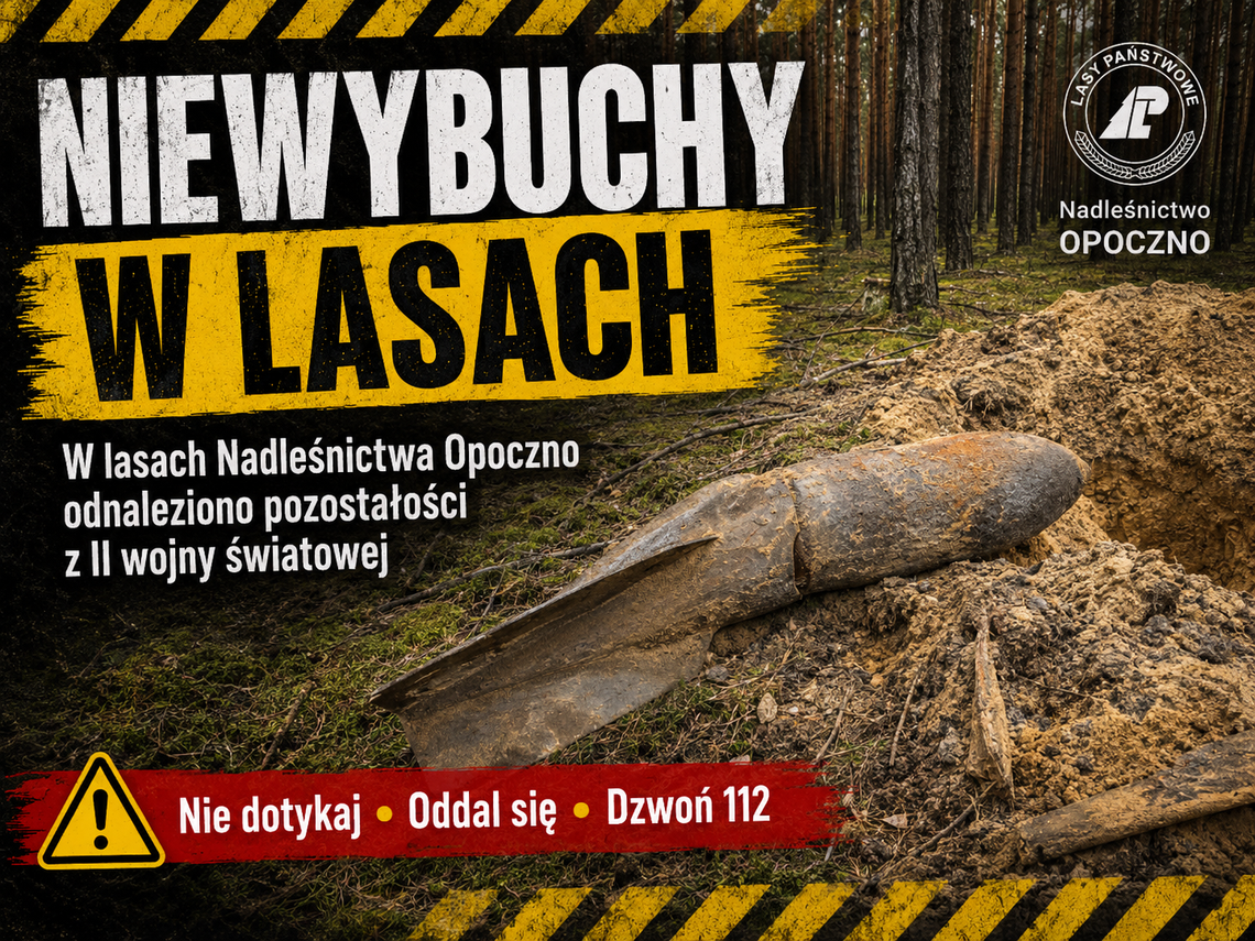 Wojna wciąż ukryta pod ściółką. Niewybuchy odnalezione w lasach Nadleśnictwa Opoczno