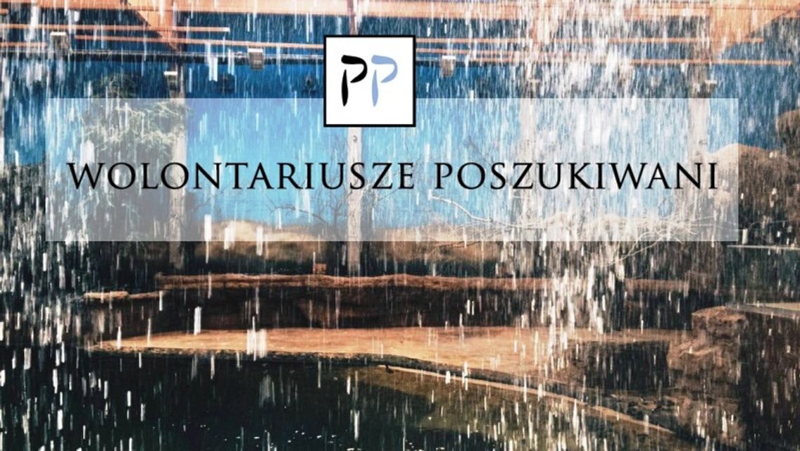 Wolontariusze mile widziani - Fundacja Pasaże Pamięci