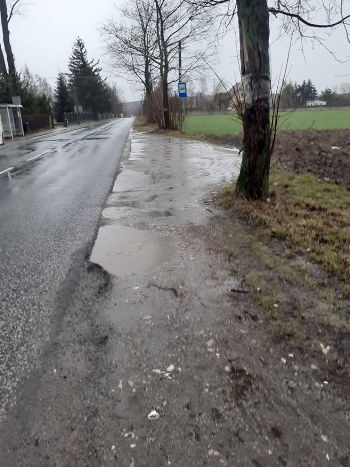 Wysiadają w błocie 