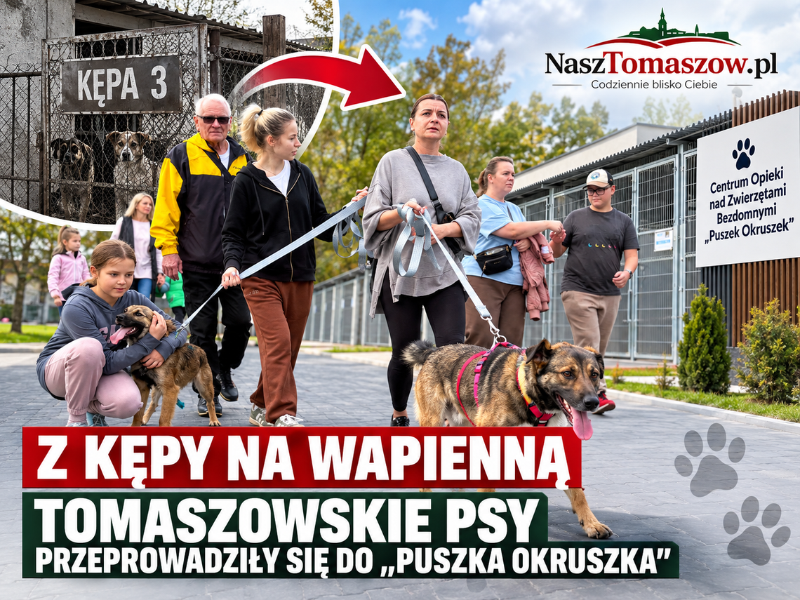 Z Kępy na Wapienną. Tomaszowskie psy przeprowadziły się do „Puszka Okruszka”