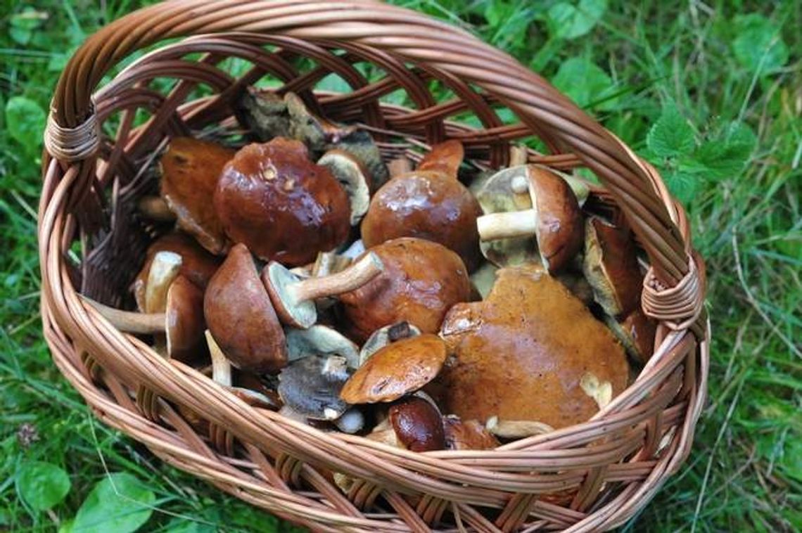 Zagrożenie w ruchu drogowym a Policja przejeżdża i nie reaguje