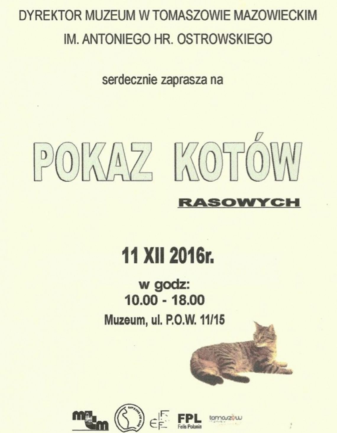 Zapraszamy na kolejny pokaz kotów rasowych