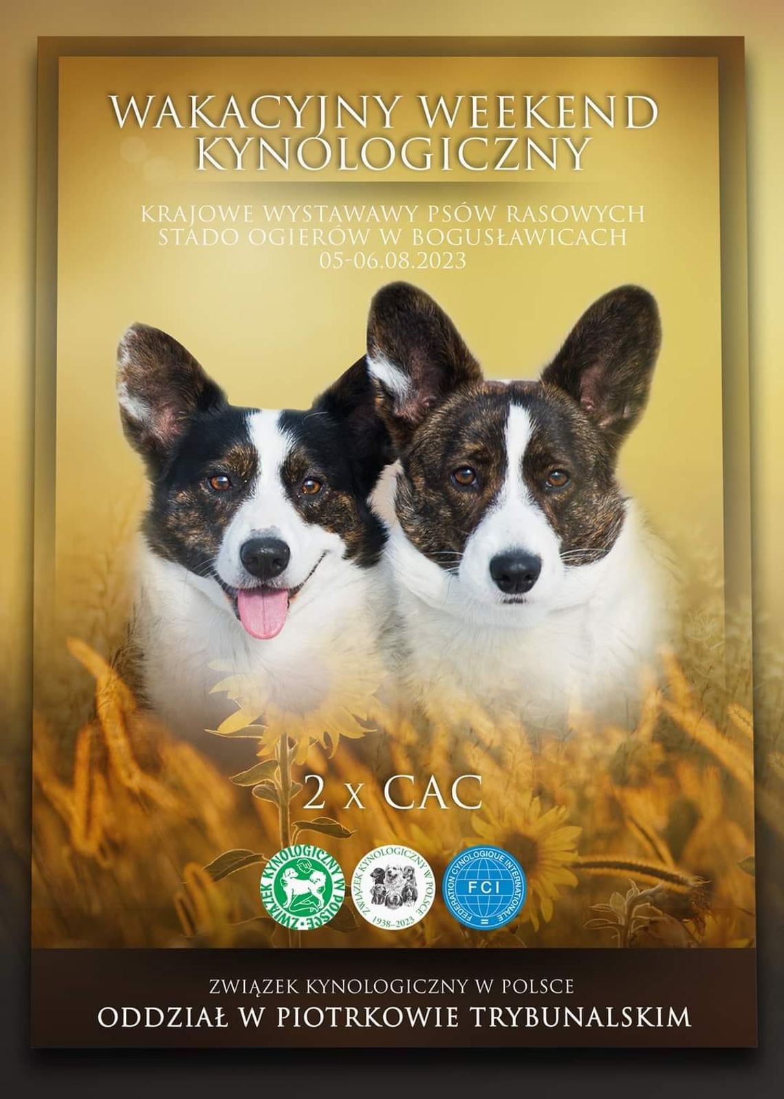 Zapraszamy nie tylko miłośników psów