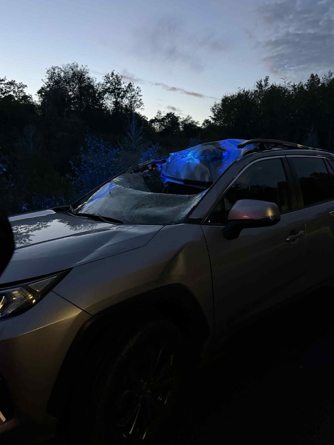 Zderzenie samochodu z jeleniem w Nagórzycach Zderzenie samochodu z jeleniem w Nagórzycach