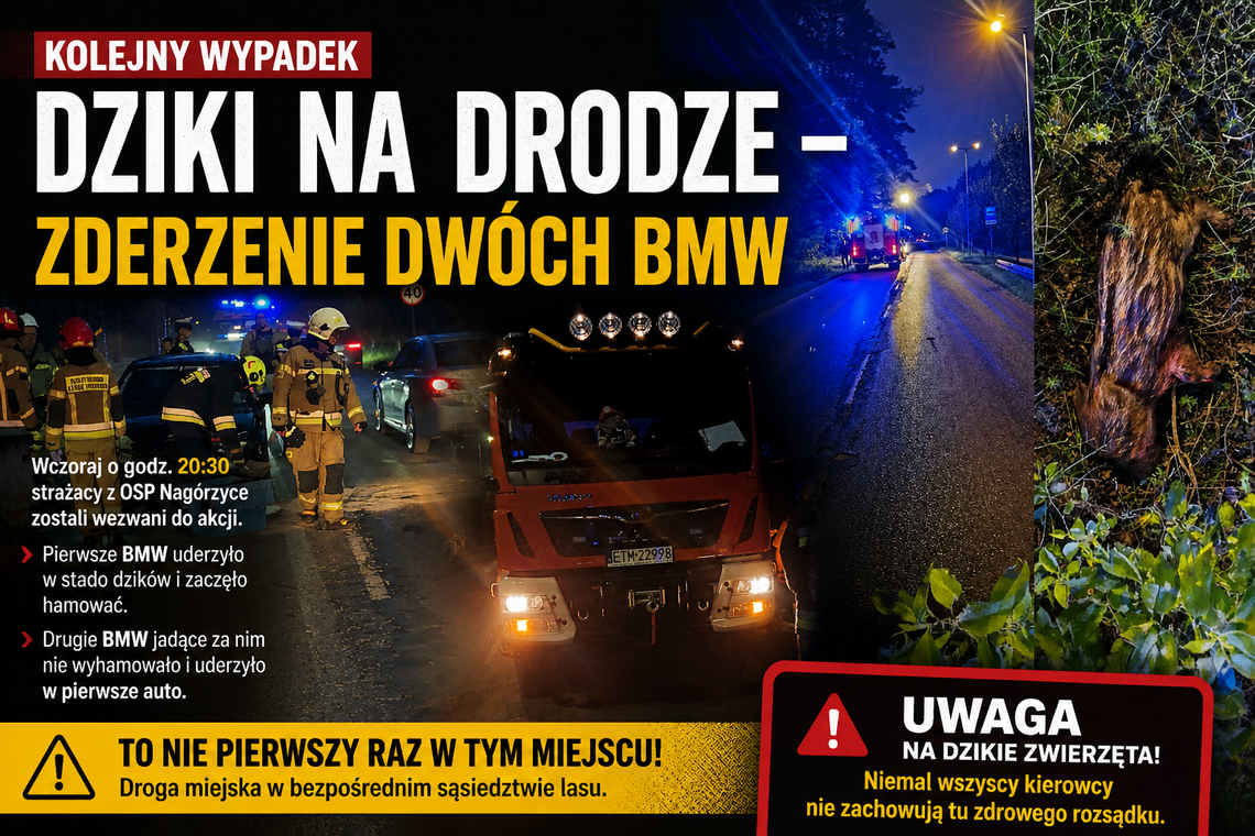 Zderzenie z dzikami dwóch BMW. Niebezpieczne miejsce znów daje o sobie znać