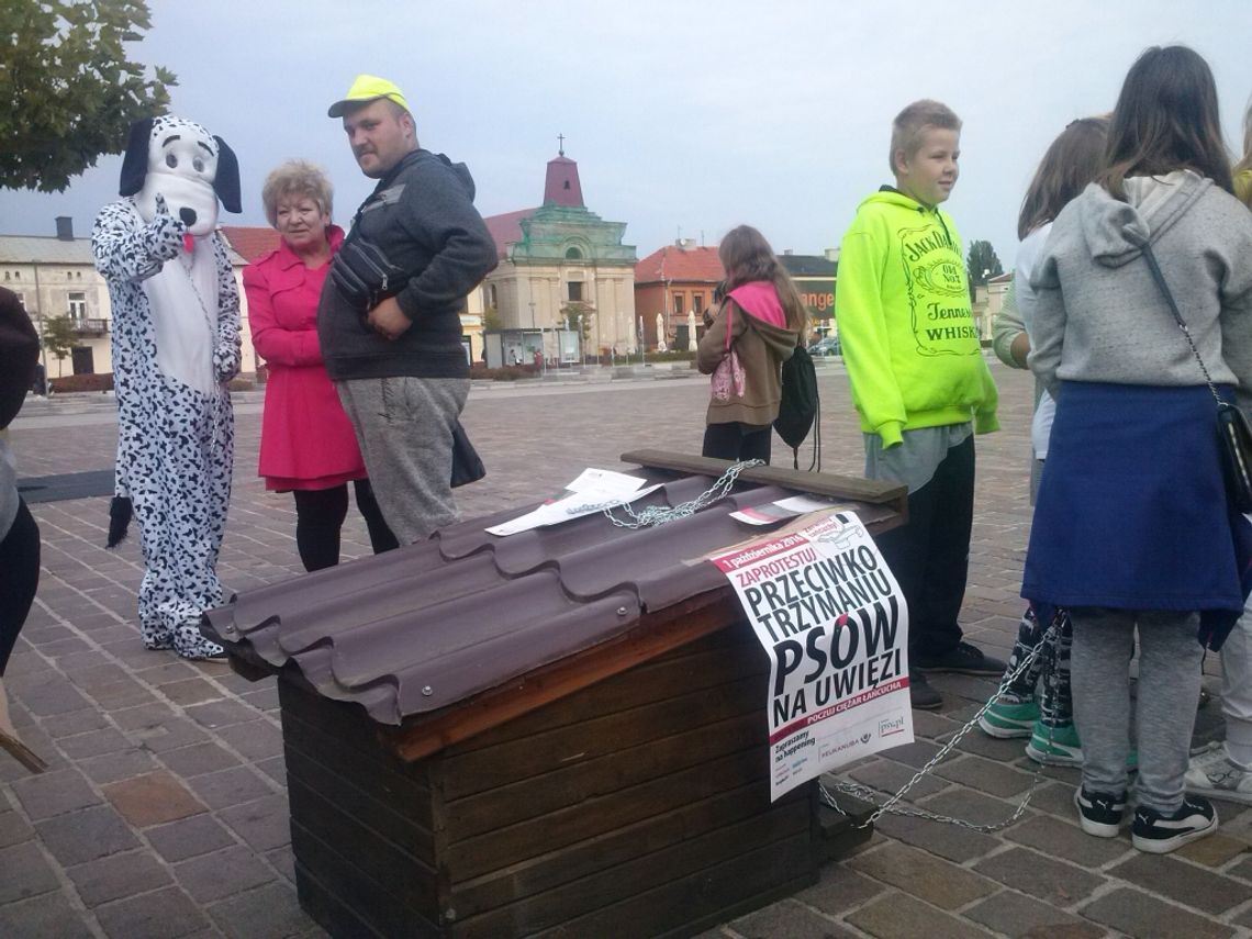 Zerwaliśmy łańcuchy w Tomaszowie Maz