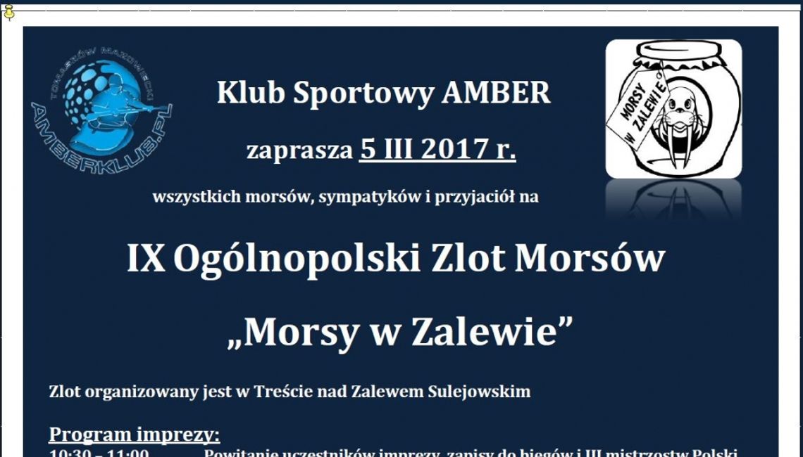 Zlot Morsów po raz dziewiąty