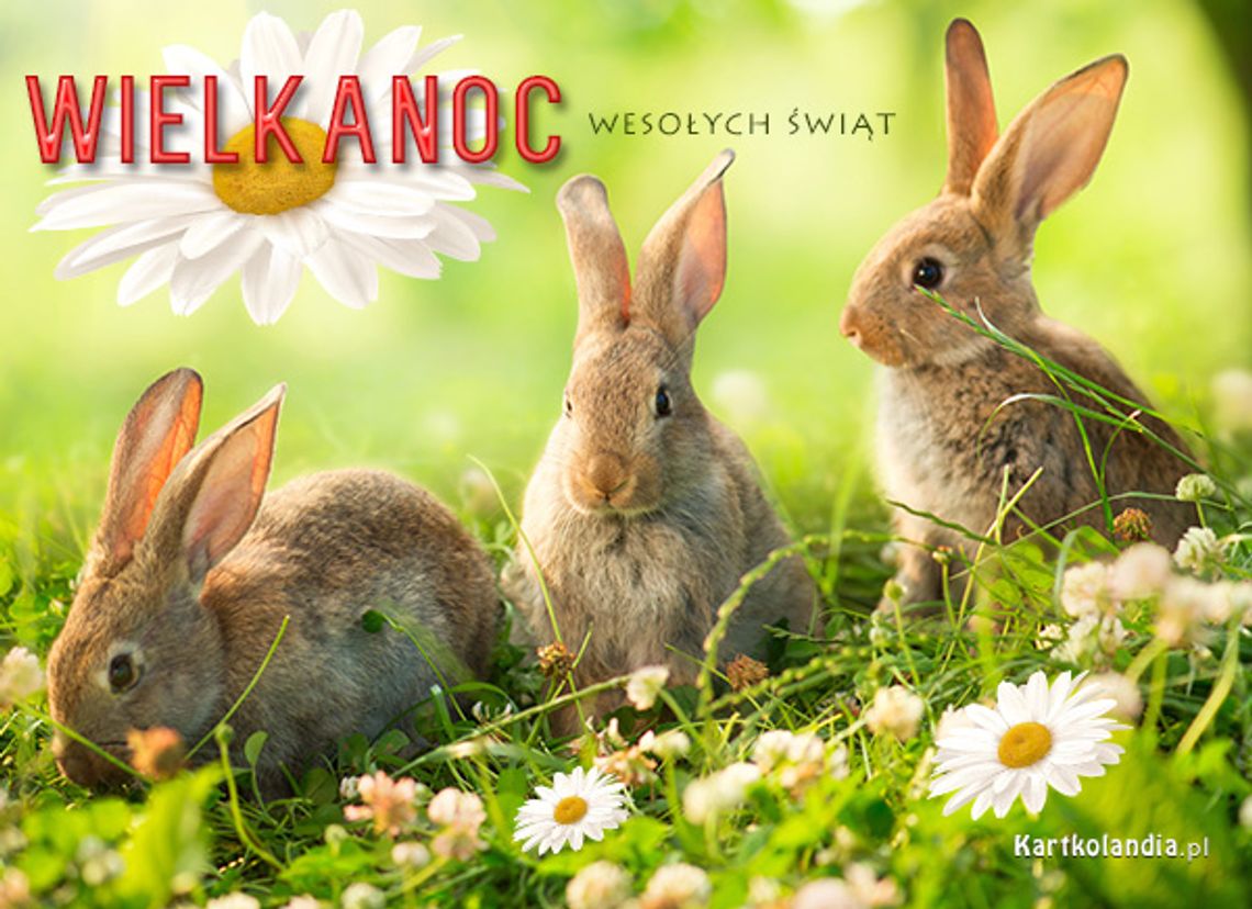 Życzenia Wielkanocne od poseł Elżbiety Radziszewskiej