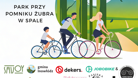 Koło Spały Koło Spały