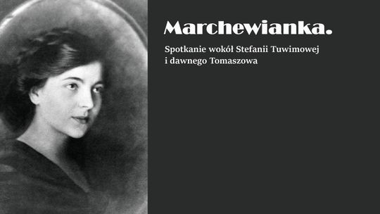 O Stefie Marchewiance