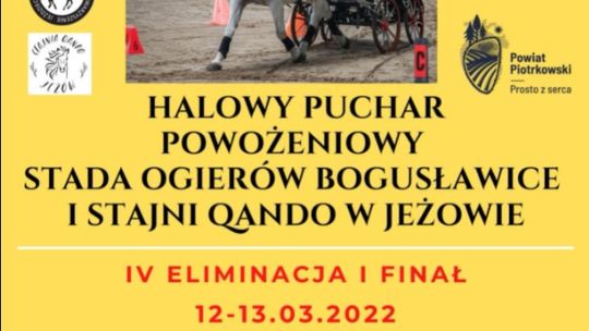 POWOŻENIOWY PUCHAR STADA OGIERÓW W BOGUSŁAWICACH I STAJNI QANDO W JEŻOWIE 2021/2022
