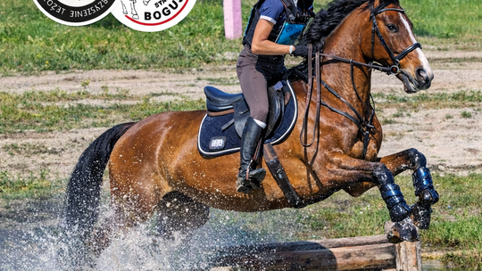 Zawody Krajowe we Wszechstronnym Konkursie Konia Wierzchowego Zawody Krajowe we Wszechstronnym Konkursie Konia Wierzchowego