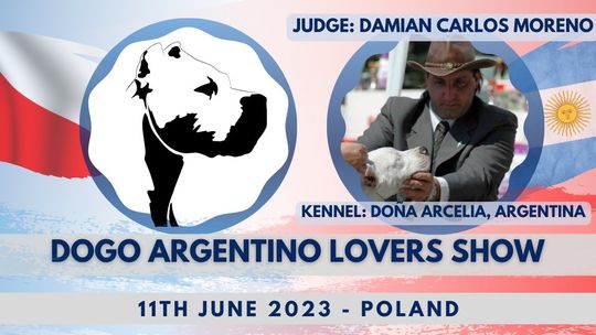 Zlot właścicieli dogów argentyńskich
