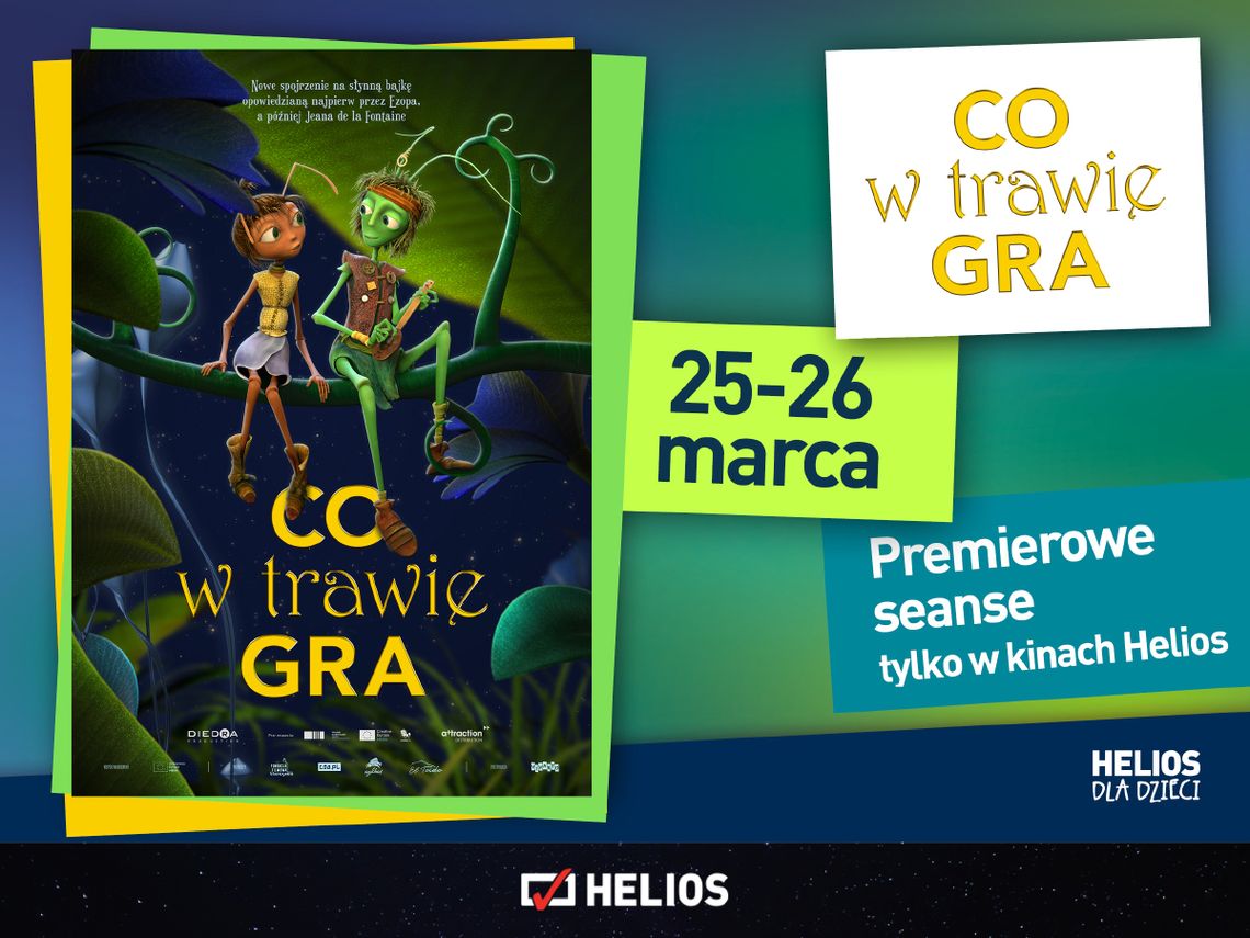 CO W TRAWIE GRA CO W TRAWIE GRA