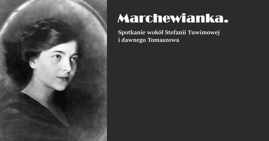 O Stefie Marchewiance