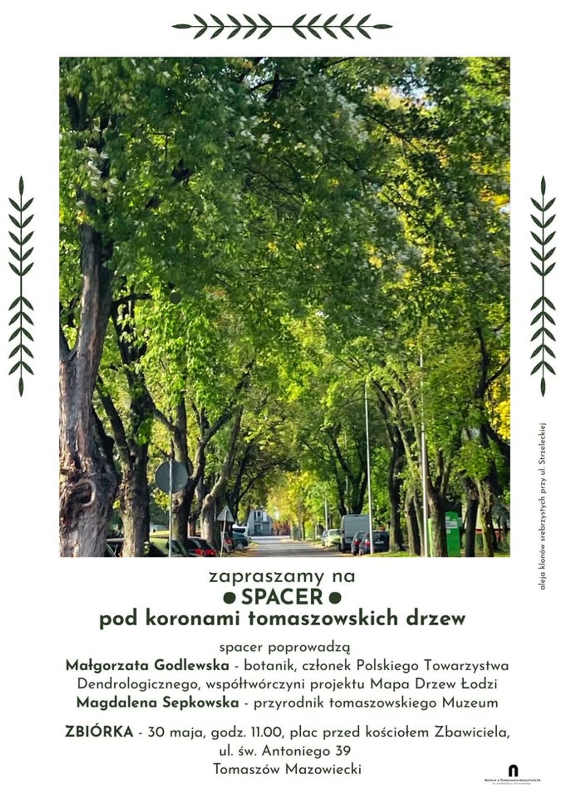 Spacer „Pod koronami drzew”