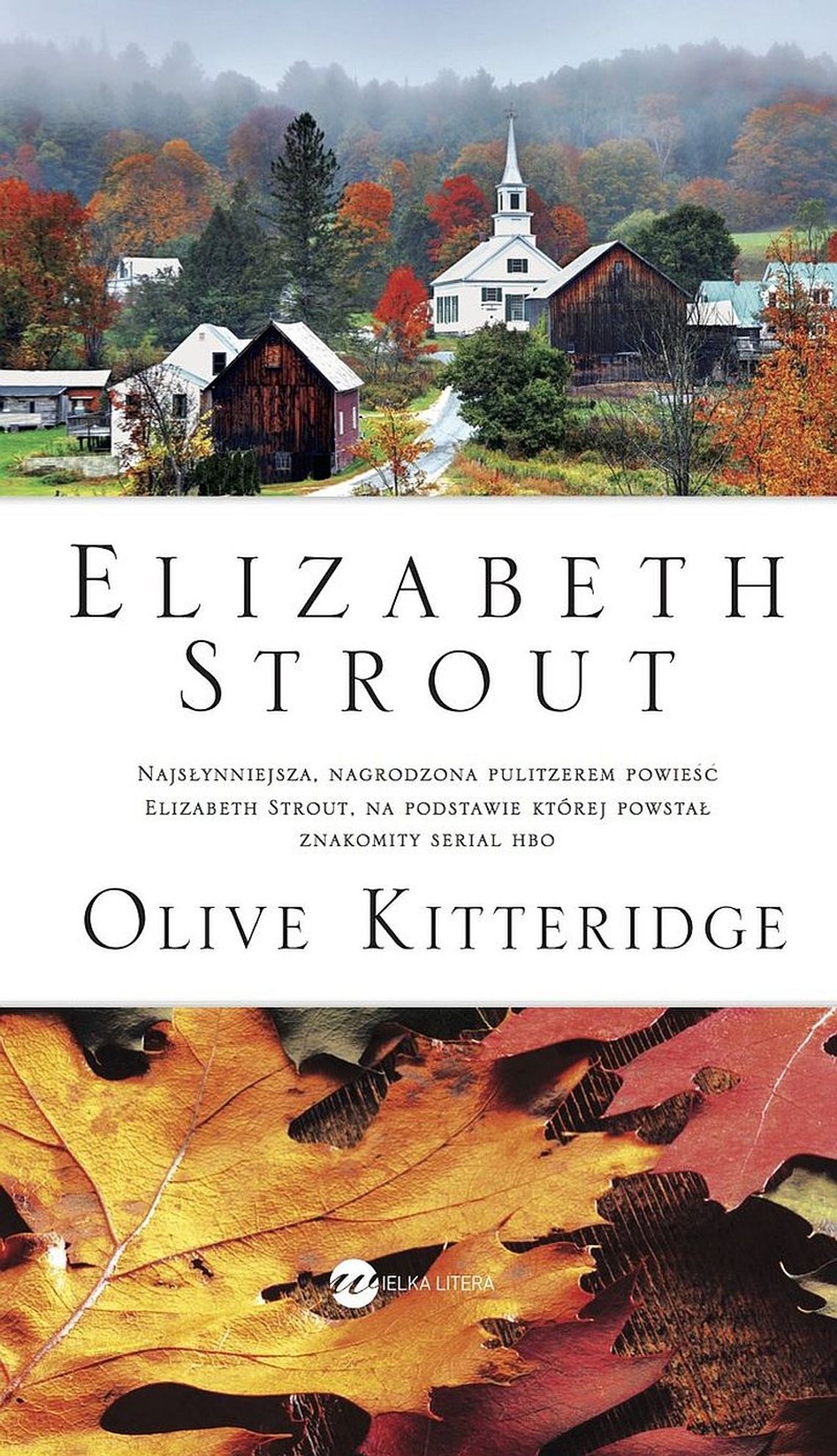 Spotkanie Dyskusyjnego Klubu Książkowego dla dorosłych  – dyskusje o książce Elizabeth Strout „Olive Kitteridge”   