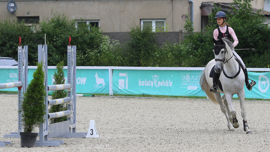 W siodle przez Stado Ogierów Bogusławice - zawody w skokach przez przeszkody