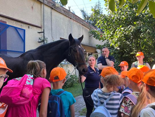 Półkolonie w Powiatowym Centrum Animacji w Tomaszowie Mazowieckim