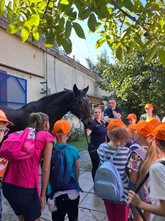 Półkolonie w Powiatowym Centrum Animacji w Tomaszowie Mazowieckim