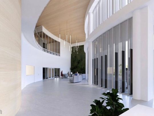 Element biophilic design poprawia akustykę i estetykę.