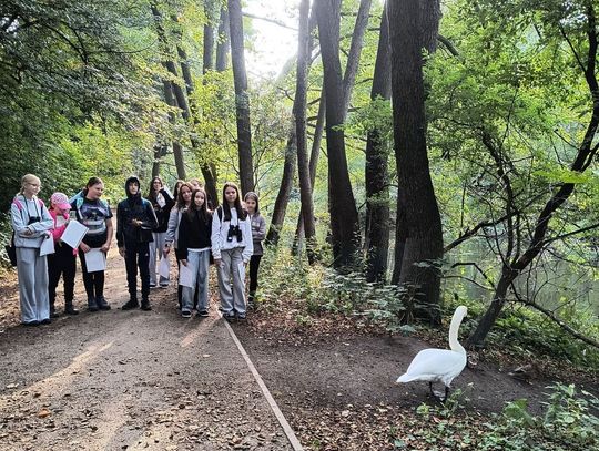 Spotkanie z łabędziem na szlaku Grupa uczniów obserwuje łabędzia na ścieżce nad Pilicą – Niebieskie Źródła w roli żywej pracowni biologii