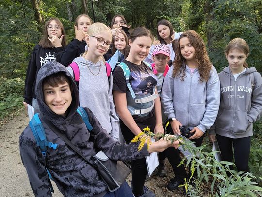 Atlas roślin w terenie Uczniowie SP6 rozpoznają rośliny – warsztaty shinrin-yoku w Tomaszowie Mazowieckim