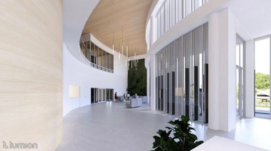 Element biophilic design poprawia akustykę i estetykę.