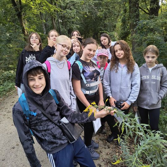Uczniowie SP6 rozpoznają rośliny – warsztaty shinrin-yoku w Tomaszowie Mazowieckim
