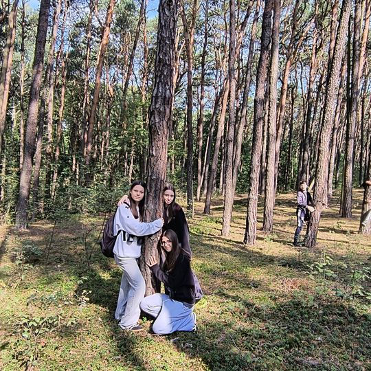 Grupa uczennic przytula sosnę podczas kąpieli leśnych – zdrowy styl życia w Tomaszowie Mazowieckim