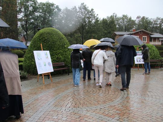 Uczestnicy pod parasolami oglądają plansze wystawy w deszczowy dzień.