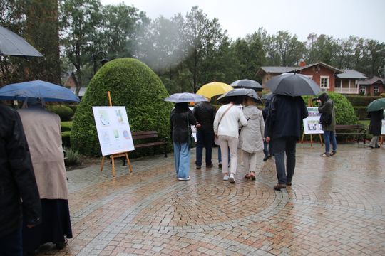 Uczestnicy pod parasolami oglądają plansze wystawy w deszczowy dzień.