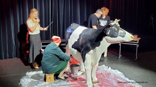 IX Regionalny Turniej Kół Gospodyń Wiejskich i Miejskich