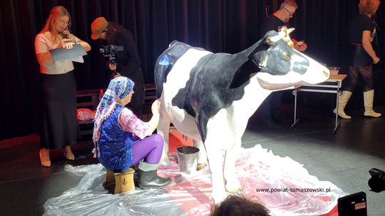 IX Regionalny Turniej Kół Gospodyń Wiejskich i Miejskich