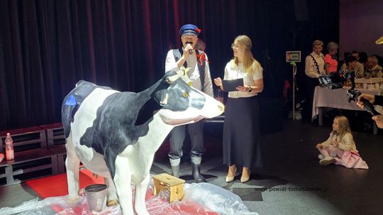 IX Regionalny Turniej Kół Gospodyń Wiejskich i Miejskich