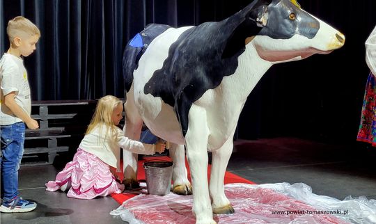 IX Regionalny Turniej Kół Gospodyń Wiejskich i Miejskich