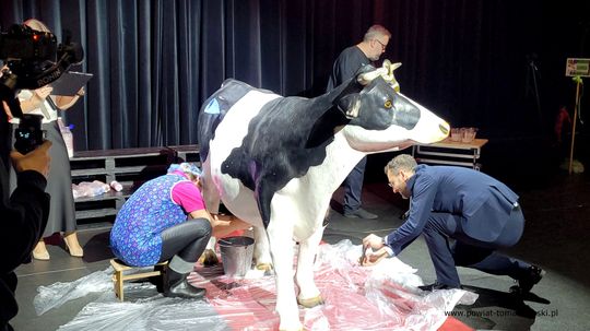 IX Regionalny Turniej Kół Gospodyń Wiejskich i Miejskich