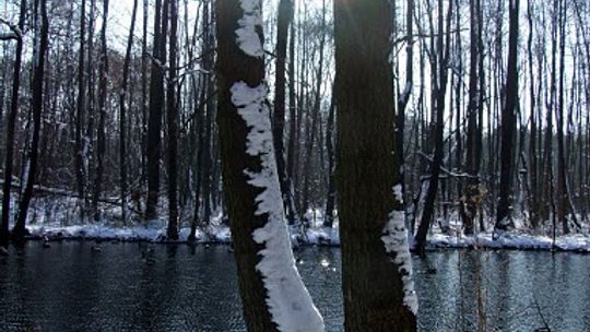 Niebieskie Źródła